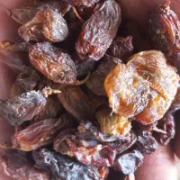 کشمش مویز آفتابی کاشمر،شیراز، تمیز بدون هسته