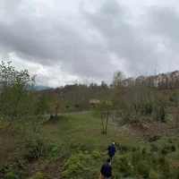 فروش خاص ترین زمین ۳ هکتاری در استان گیلان