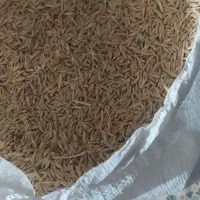 جو دیمی|عمدهفروشی|لاران, |دیوار