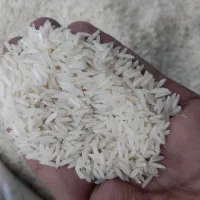 برنج هاشمی گیلان فوق اعلا اصل|خوردنی و آشامیدنی|تهران, میرداماد|دیوار
