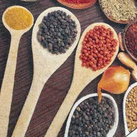 فرش آشپز خانه|فرش|مشهد, گلبرگ شمالی|دیوار
