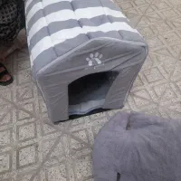لانه سگ|لوازم جانبی حیوانات|پاکدشت, شهرک انقلاب|دیوار