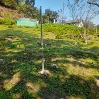 زمین مسکونی