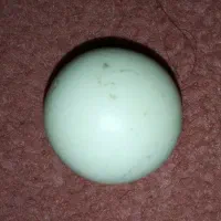 الماس اسیاب|کلکسیون اشیاء عتیقه|بندر گناوه, |دیوار