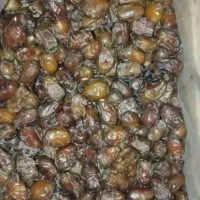 شندشکن با رنگو دارم خراج|خوردنی و آشامیدنی|سراوان, |دیوار