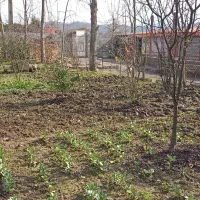 فروش ملک و زمین