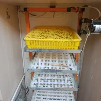 دستگاه جوجه کشی سینا 210 تایی تمام اتوماتیک|لوازم جانبی حیوانات|قم, وادی السلام|دیوار