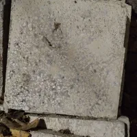 فروش موزاییک دست دوم|مصالح و تجهیزات ساختمان|تربت‌حیدریه, حاجی یار‎|دیوار