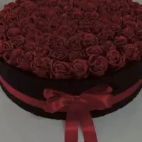 تخفیف فقط(۱۴)|گل مصنوعی|قم, نیروگاه|دیوار