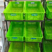 استند میوه/ مشکی / سبز