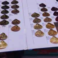 رنگ موی ترکیبی بدون دکلره. بدون اسیب