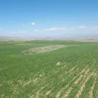 17-هکتار-زمین-کشاورزی-دیم