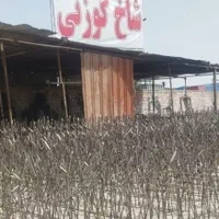 استخدام جوشکار حفاظ شاخ گوزنی با جای خواب + کنترات|استخدام معماری، عمران و ساختمانی|نسیم‌شهر, |دیوار