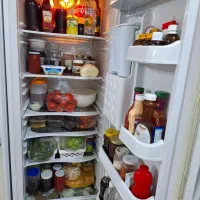 یخچال الکترواستیل در حدنو