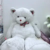 خرس بزرگ یک و نیم متری