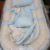 تشک گاردارو آغوشی برند رز بورن