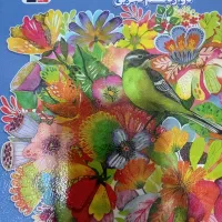 کتاب نوروز و جمع بندی پایه و دوازدهم تجربی