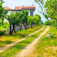 پلاکهای شمالی 220متری با سند ومجوز