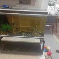 آکواریوم|ماهی|مشهد, کارگران|دیوار