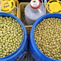 پخش زیتون عابد|خوردنی و آشامیدنی|منجیل, |دیوار