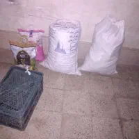 نان خشک و ضایعات پلاستیک