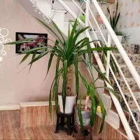 فروش-منزل-ویلایی