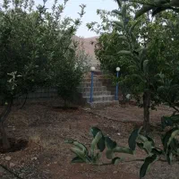 فروش باغچه 1200 متری در خان زنیان دهنو قلندری|فروش زمین و ملک کلنگی|شیراز, شهرک امیر کبیر|دیوار