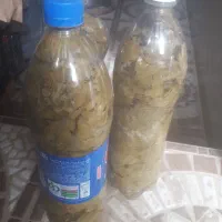 برگ مو( برگ انگور)|خوردنی و آشامیدنی|جلفا, |دیوار