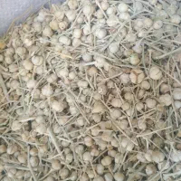 الوک واسپند|خوردنی و آشامیدنی|شیراز, گلشن|دیوار