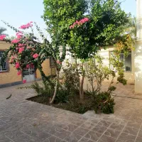 ویلایی ۲ خواب، ۵۲۶متر زمین میدان فرمانداری|فروش خانه و ویلا|بم, |دیوار