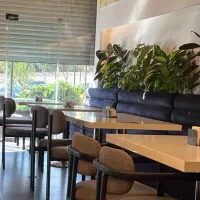 نیروی برای کافه