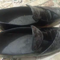 کفش مجلسی