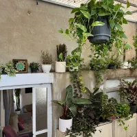 اجاره سوییت کوتاه مدت،روزانه،شبانه