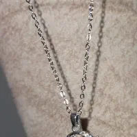 گردنبند اسب آسمانی|بدلیجات|رشت, سعدی (تختی)|دیوار