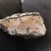 شجر|کلکسیون اشیاء عتیقه|شیراز, دشت چنار|دیوار