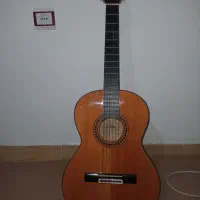 گیتار  AK-20  3/4