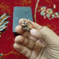 انگشتر گرگی|بدلیجات|بروجن, |دیوار