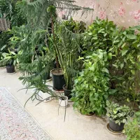 فروش اپارتمان130متری2خواب خیابان توحید نظرشرقی|فروش آپارتمان|اصفهان, سیچان|دیوار