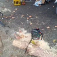 اره برقی کرایه ای