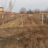 فنس کشی علیزاده|خدمات باغبانی و درختکاری|ارومیه, |دیوار