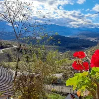 کلبه دوبلکس جنگلی ۲کیلومتری سد لفور