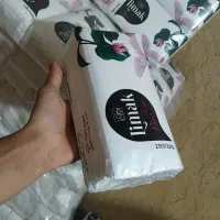 دستمال کاغذی|مواد شوینده و دستمال کاغذی|سنندج, |دیوار