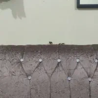 پشتی|پشتی|کوهدشت, |دیوار