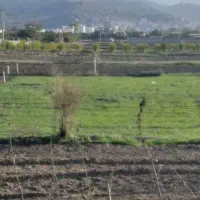 ۵۰۰ متر .زمین بهشهر.کنار ترمینال آزادگان