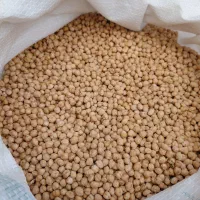 نخود کرمانشاه