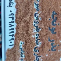 بذر یونجه|عمده‌فروشی|پارس‌آباد, |دیوار