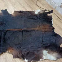 قالیچه|گلیم، جاجیم، گبه|شیراز, ده پیاله|دیوار