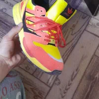 کتانی|کیف، کفش، کمربند|میانه, |دیوار