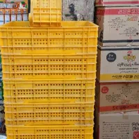 سبد پلاستیکی