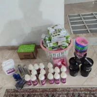فروش وسایل اولی رنگ کراتین و پروتین صفرتاصد